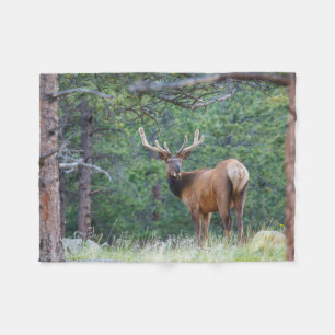 One Elk Looking Back   Rocky Mountains Fleece Blanket
