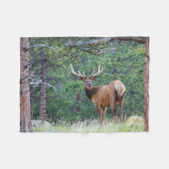 One Elk Looking Back | Rocky Mountains Fleece Blanket (Front (Horizontal))