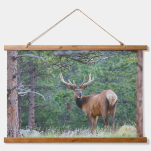 One Elk Looking Back Rocky Mountains Hanging Tapestry