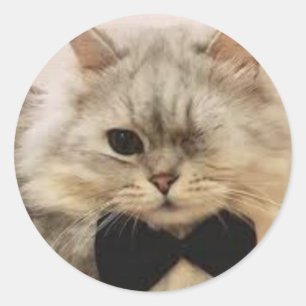 One-eyed Cat Classic Round Sticker