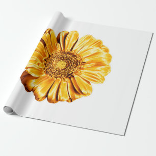 One golden gerbera flower white background isolate wrapping paper