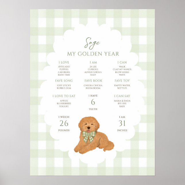 One Golden Year Puppy Dog 1st Birthday Milestone  Poster (Front)