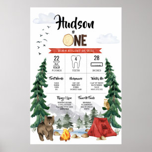 One Happy Camper 1st Birthday Milestone Chart