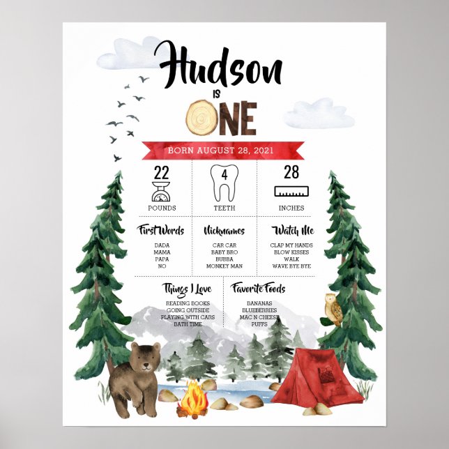 One Happy Camper 1st Birthday Milestone Chart (Front)