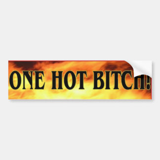 One Hot Bitch Bumper Sticker