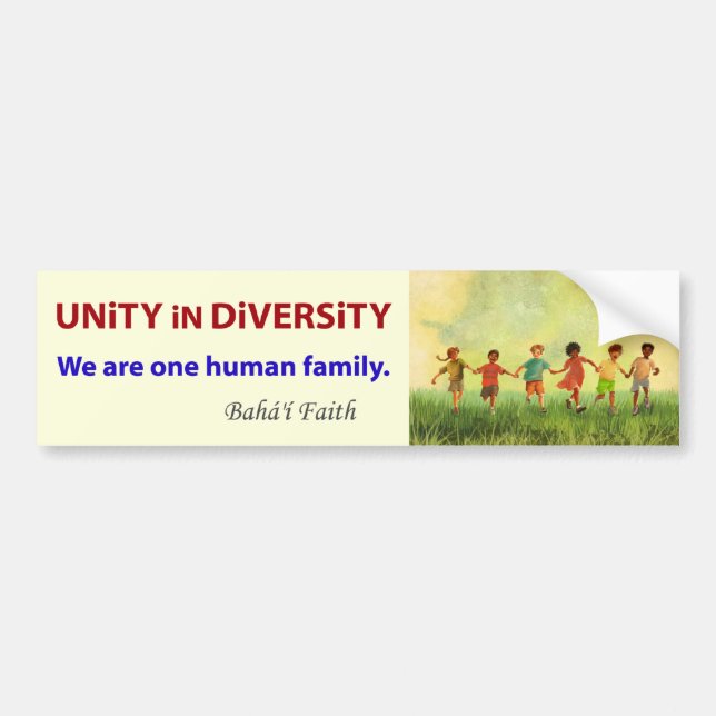 One Human Family Bumper Sticker (Front)
