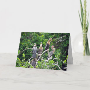 One In A Crowd - Anhinga Family Greeting Card