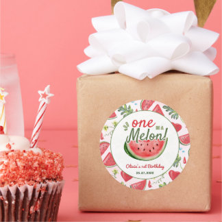 One in a Melon 1st Birthday Party Classic Round Sticker