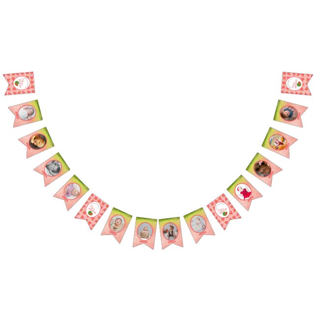 One In A Melon 1st Birthday Photo Bunting (All)