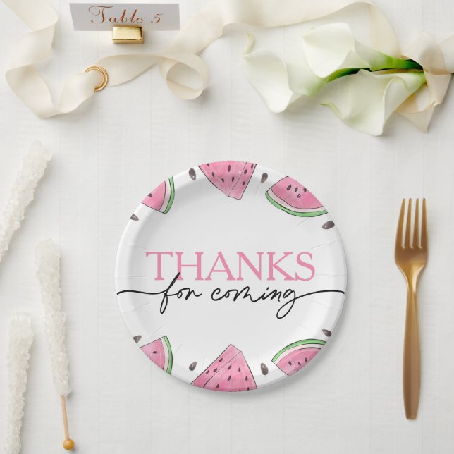 One In A Melon 1st Birthday Watermelon Birthday Paper Plate (Wedding)