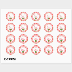 One In A Melon 1st Birthday Watermelon Classic Round Sticker
