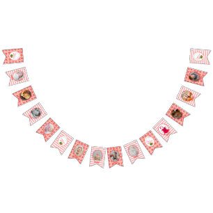 One In A Melon 1st Birthday Watermelon  Photo Bunt Bunting