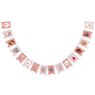 One In A Melon 1st Birthday Watermelon Photo Bunting