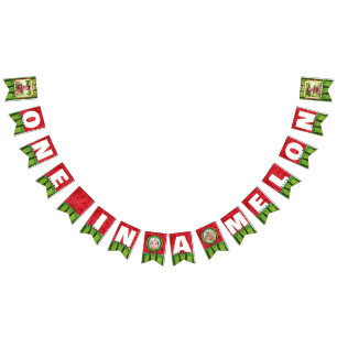 ONE in a Melon Cute Watermelon 1st Birthday Photo Bunting