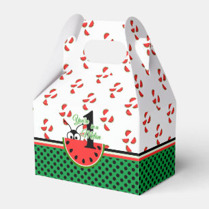 One in a Melon Picnic Ant with Watermelon Favour Box