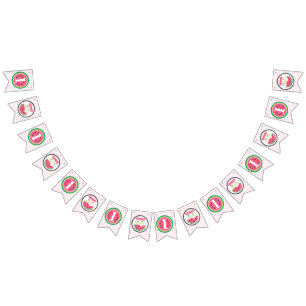 One in a Melon Watermelon Baby Girl's 1st Birthday Bunting