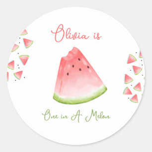 One in a Melon Watermelon Birthday Classic Round Sticker