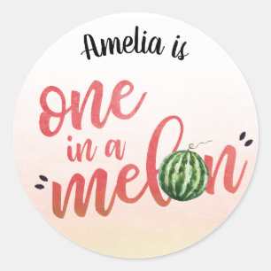 One in a Melon Watermelon Birthday Envelope Seal