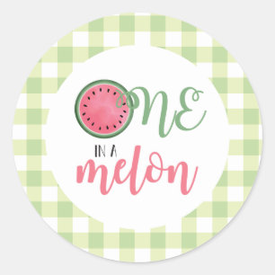 One in a Melon Watermelon First Birthday Classic Round Sticker