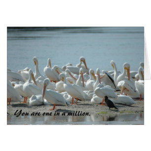 ONE IN A MILLION: CARD