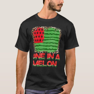 One In Melon Flag American  Picture For Boys Girls T-Shirt