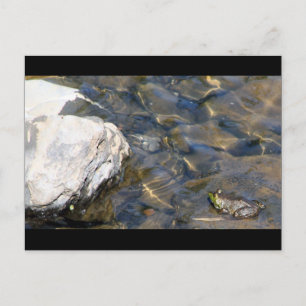 One Leap at a Time Postcard