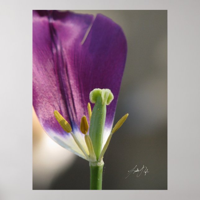 One Left Poster (Front)