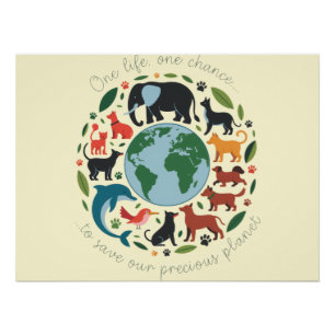 One life... One chance, to save our planet! Poster