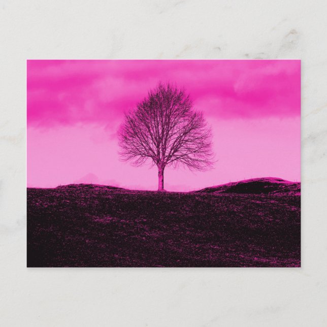 One Lone Tree Silhouette Hot Pink Landscape Postcard (Front)