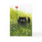 One Love Valentine Black Cat Card by Bihrle