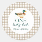 One Lucky Duck first birthday