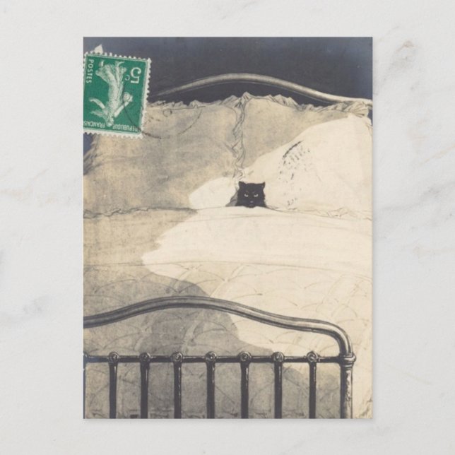 One Mad Kitty! Postcard (Front)