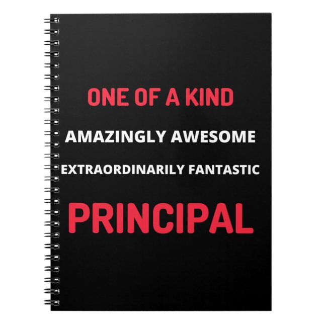 One Of A Kind Amazingly Awesome Notebook (Front)