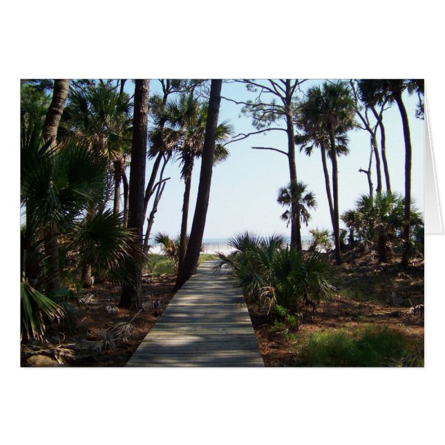 One of Atlantic Oceans boardwalks (Front Horizontal)