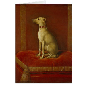 One of Frederick II's Italian greyhounds
