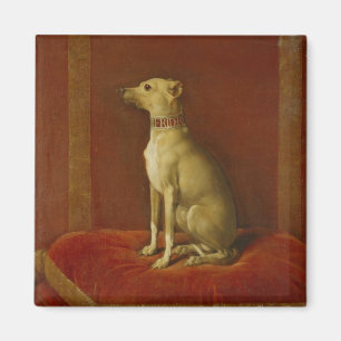 One of Frederick II's Italian greyhounds Magnet
