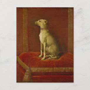 One of Frederick II's Italian greyhounds Postcard