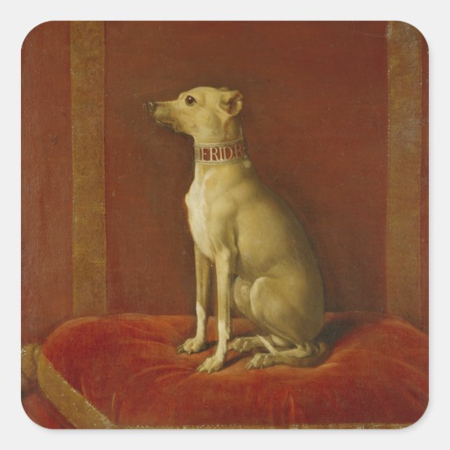 One of Frederick II's Italian greyhounds Square Sticker (Front)