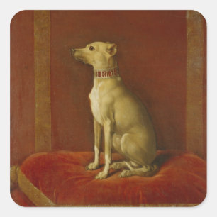 One of Frederick II's Italian greyhounds Square Sticker