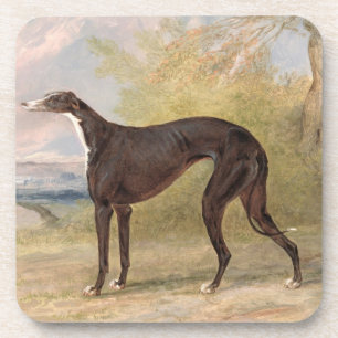 One of George Lane Fox's Winning Greyhounds: the B Coaster