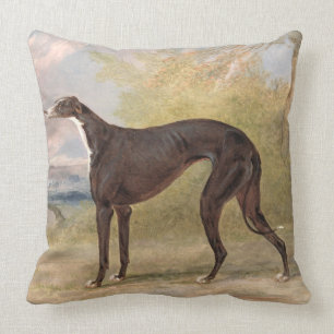 One of George Lane Fox's Winning Greyhounds: the B Cushion