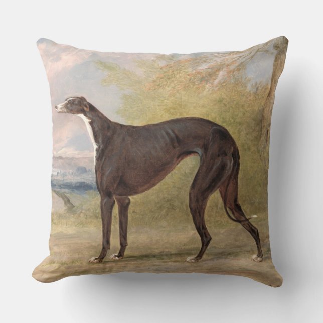 One of George Lane Fox's Winning Greyhounds: the B Cushion (Front)