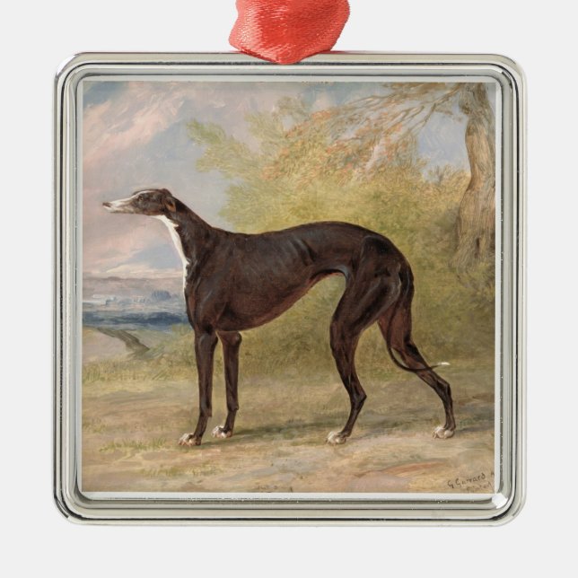 One of George Lane Fox's Winning Greyhounds: the B Metal Ornament (Front)