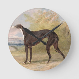 One of George Lane Fox's Winning Greyhounds: the B Round Clock