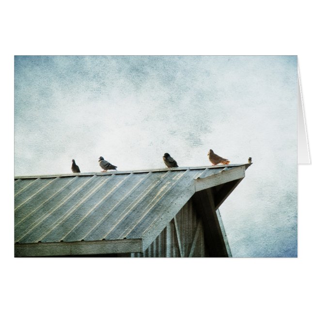 One of Them Doesn't Belong (Front Horizontal)