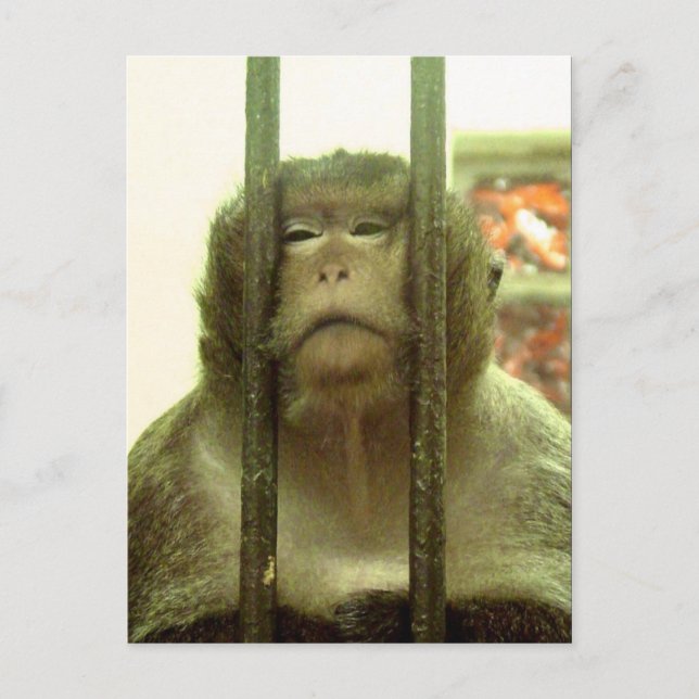 One of those days.... postcard (Front)