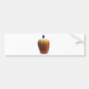 One Orange Pumpkin Bumper Sticker