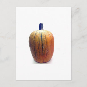 One Orange Pumpkin Postcard