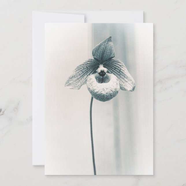 One Orchid Flower Card (Front)