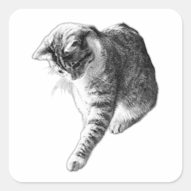 One Paw from the Truth Square Sticker (Front)